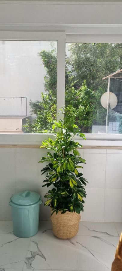 Canto Da Rocha Guesthouse Αλμάδα Εξωτερικό φωτογραφία